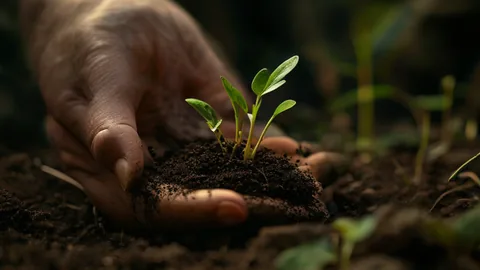 Huerto urbano: 5 consejos clave para tu primera cosecha