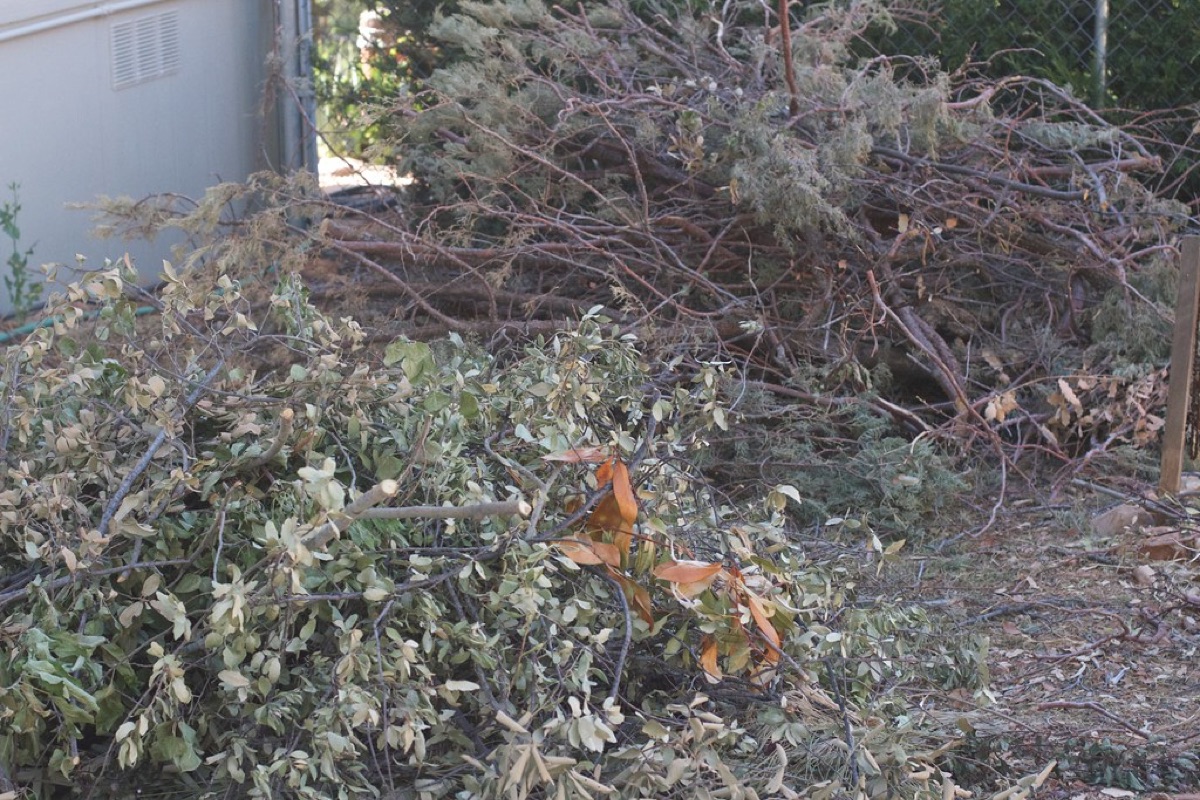 Pile de compost avec des feuilles