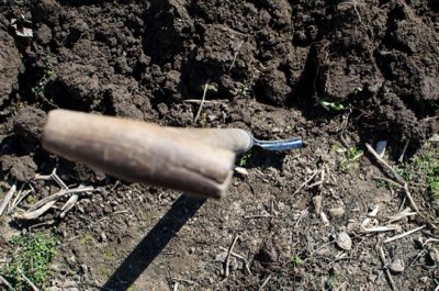 Migliorare il pH del Terreno: 5 Passaggi per un Raccolto Perfetto