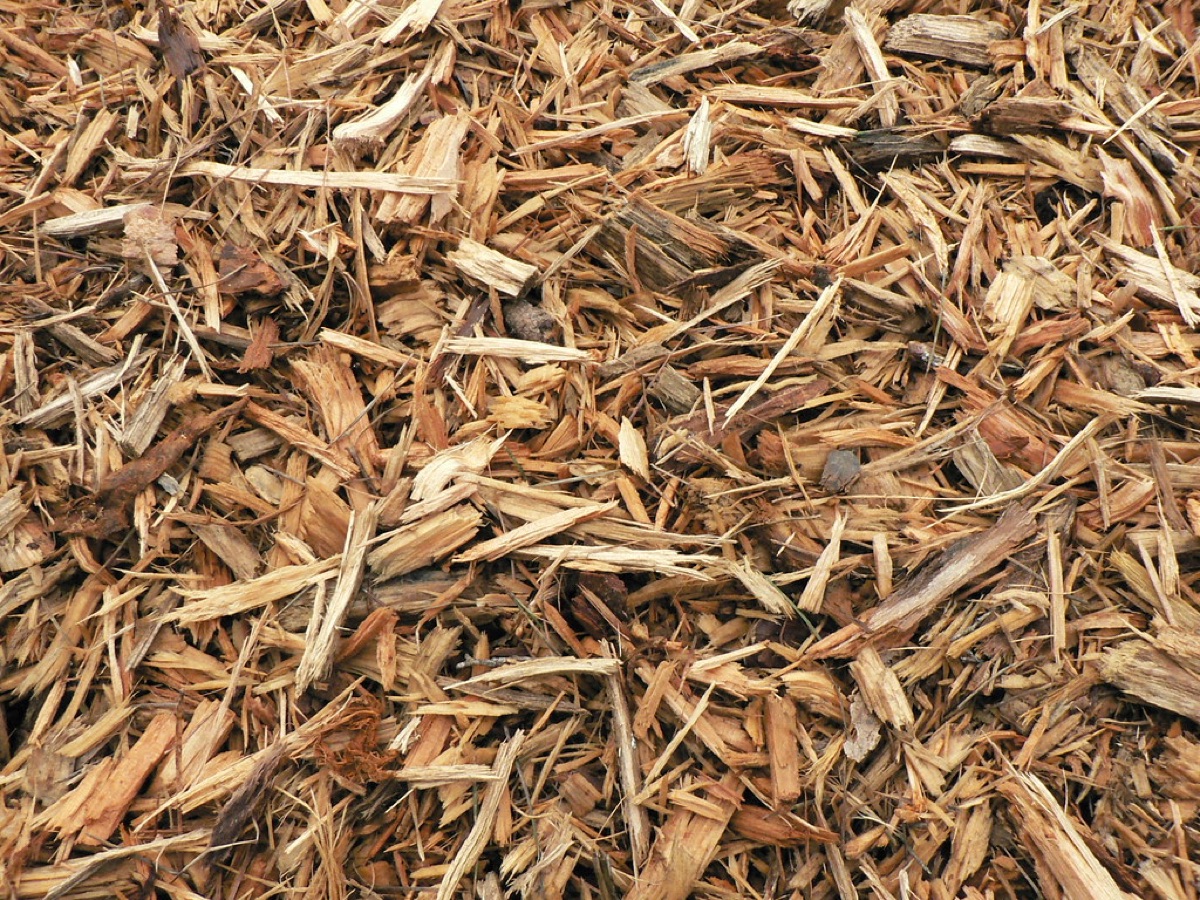 pila di composto con erbe e legumi