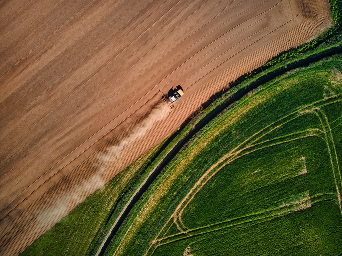 pH do Solo: Guia Completo para Colheitas Saudáveis e Naturais