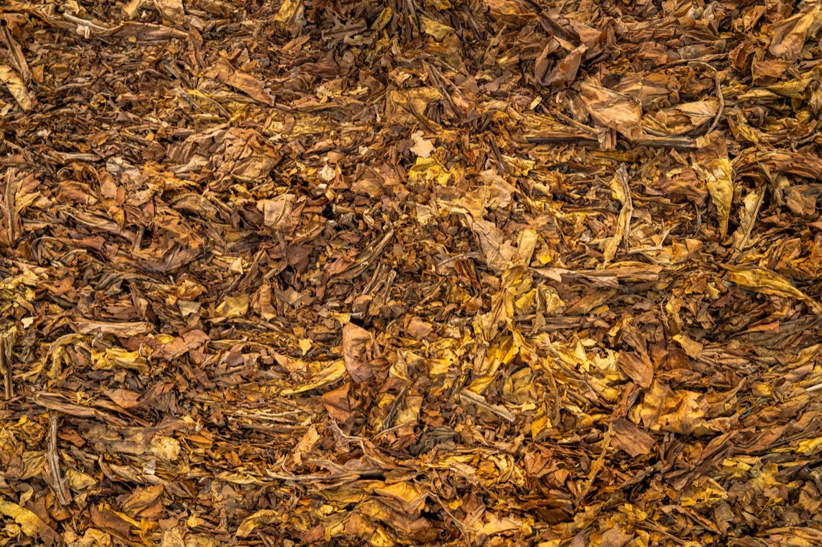 monte de composto com matéria orgânica