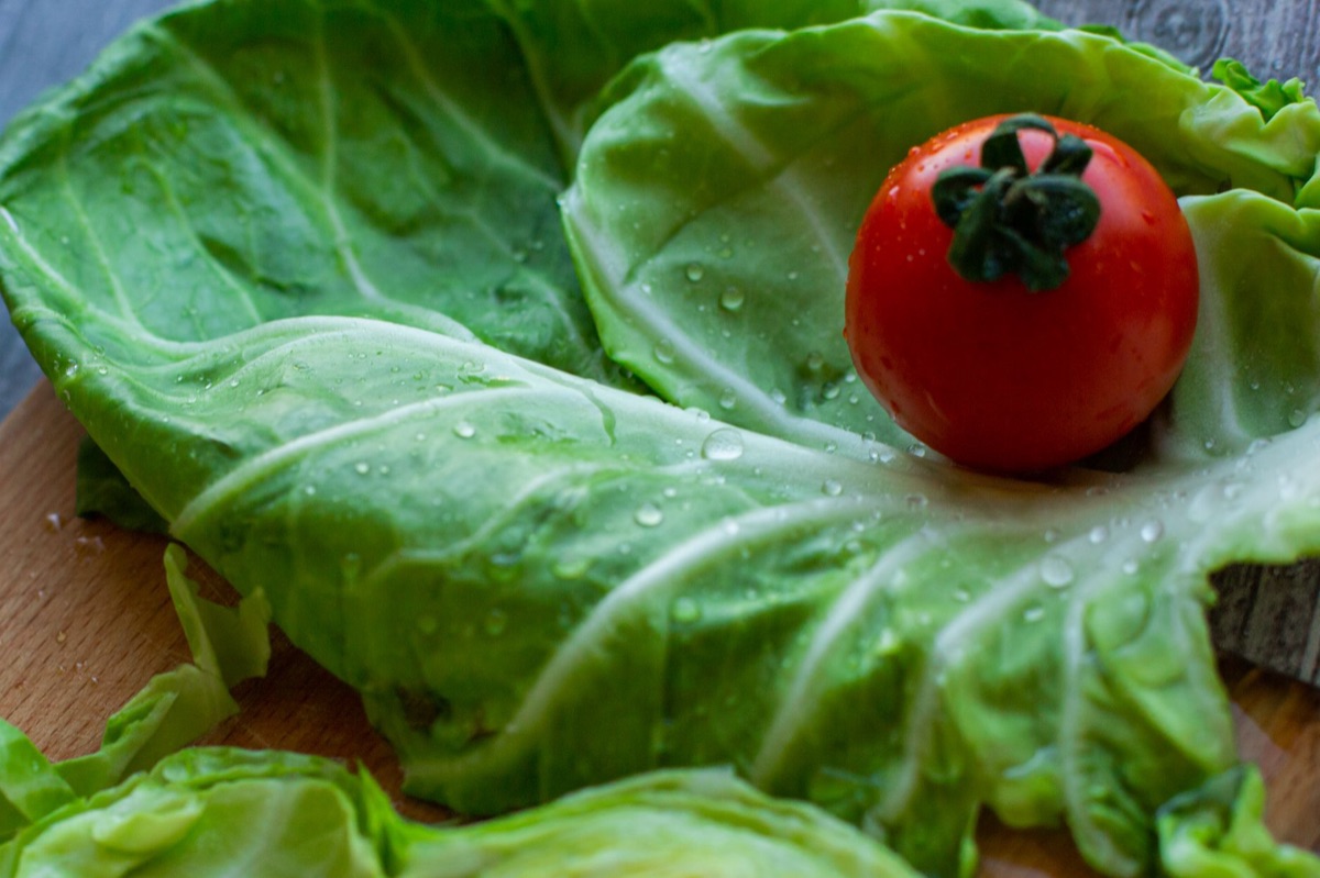 Ernte von Kopfsalat