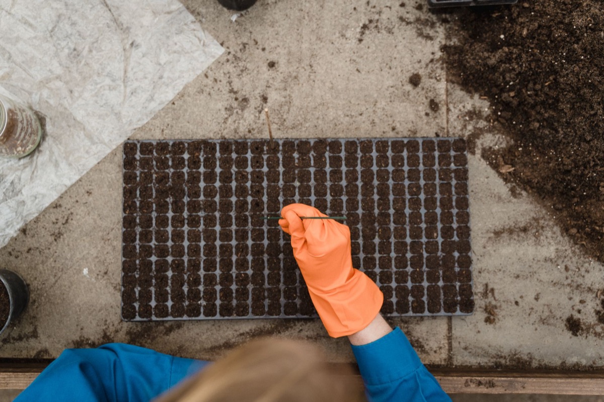 Zaadjes en plantbescherming op tafel