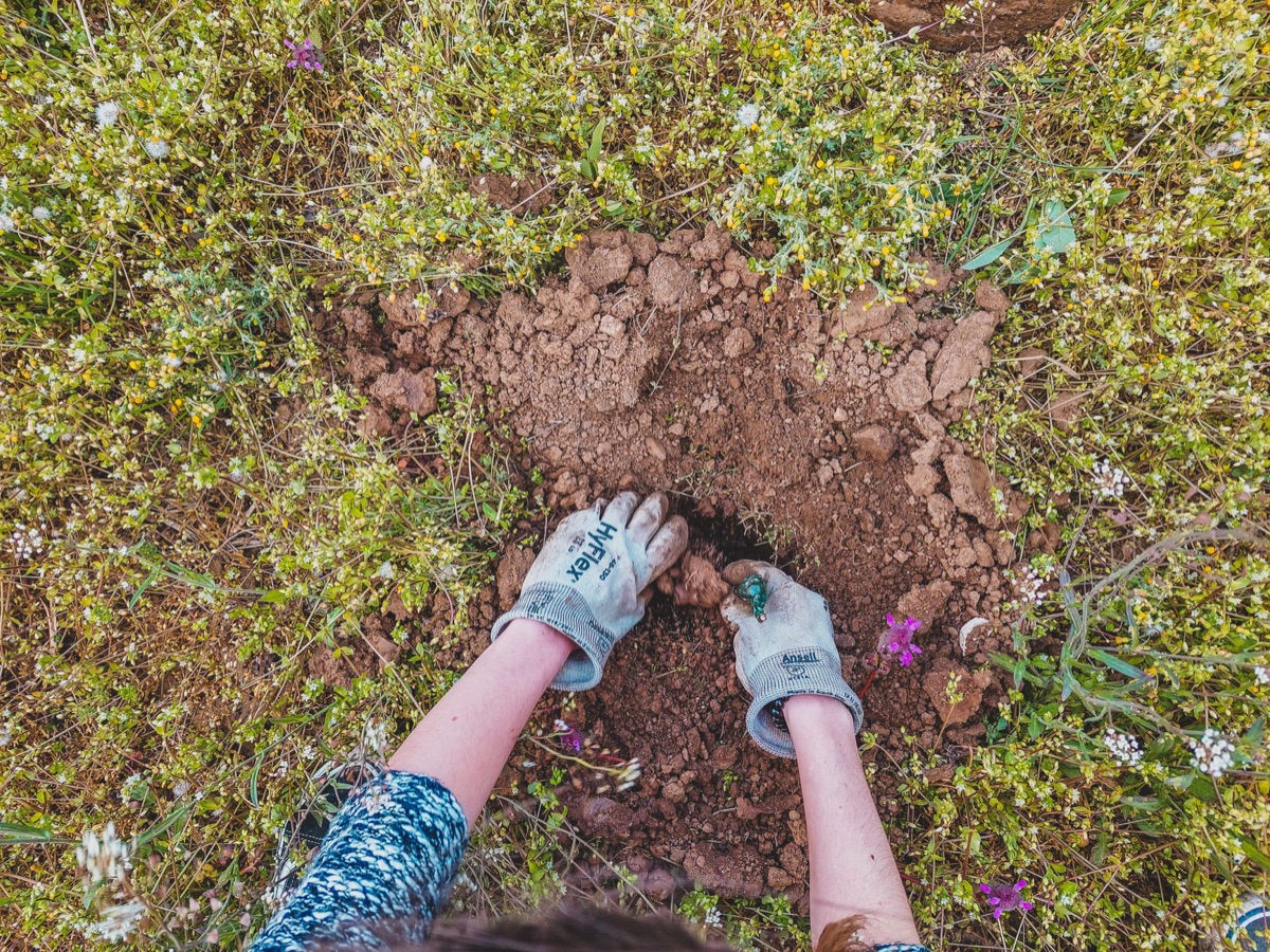 Luvas de jardinagem e terra escura