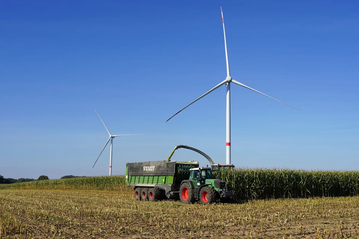 A corn harvest in Lütau, Germany, combines traditional farming with renewable energy wind turbines.