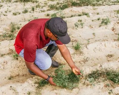 Water management tips for Eco-friendly farming goals