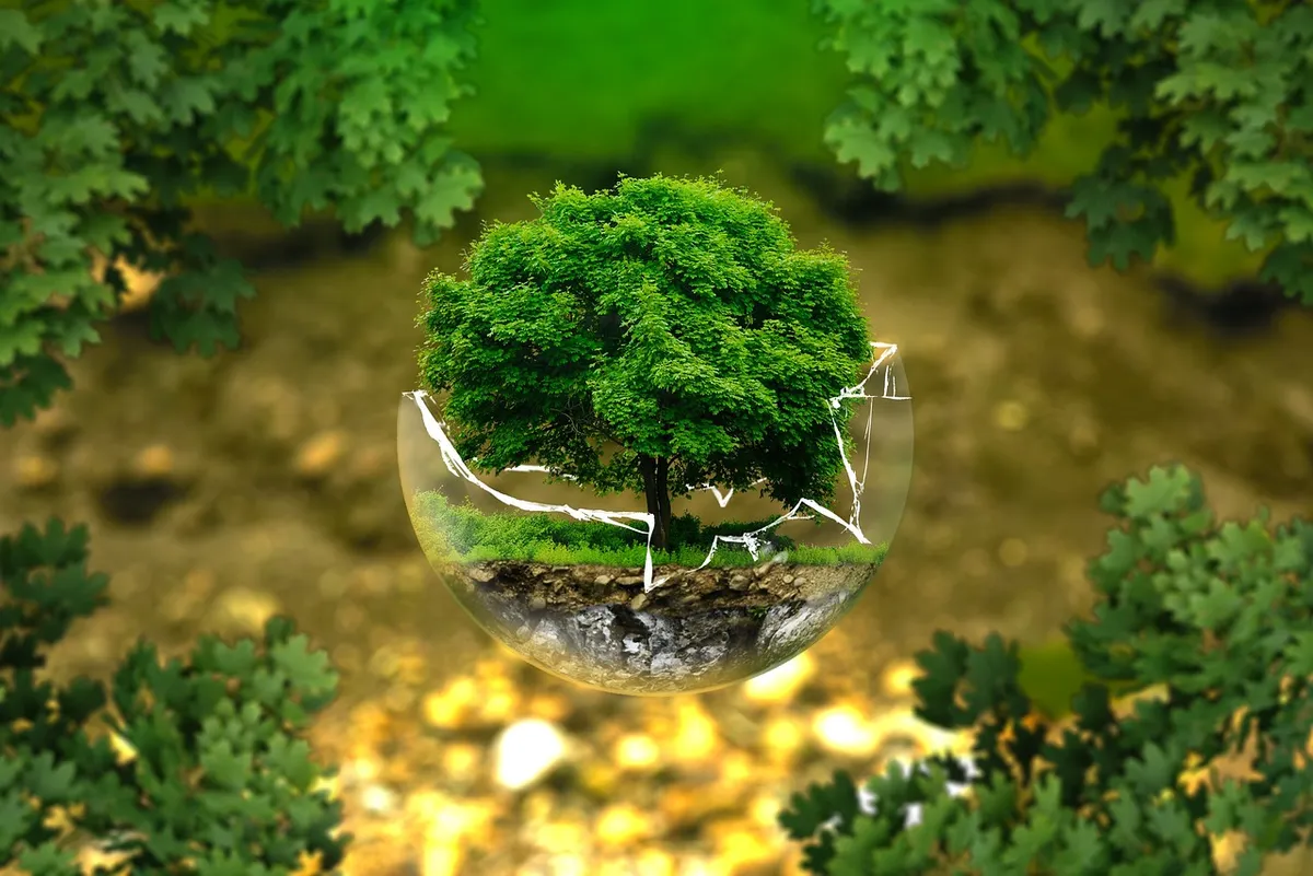 environmental protection, natural reserve, ecology, eco, bio, glass sphere, forest, green, organic, life, earth, grow, trees, tree protection, forest dieback, b
