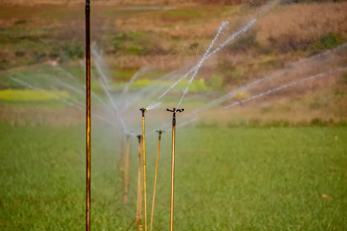 Irrigation sprinklers on a lush farm field in Manzini, Eswatini, demonstrating sustainable agriculture.