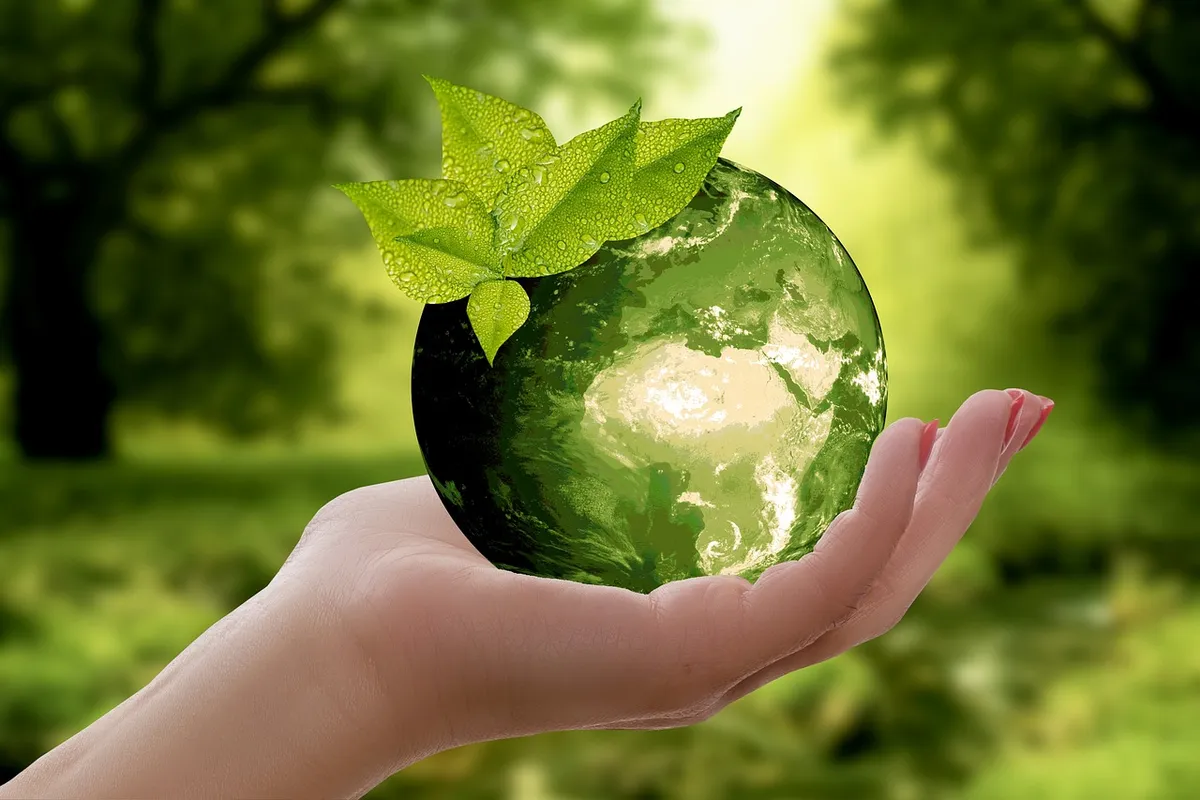 nature, earth, sustainability, leaf, caution, cycle, green, ecology, globe, world, sustainable, environment, protect, recycling, hand, keep, photomontage, compo