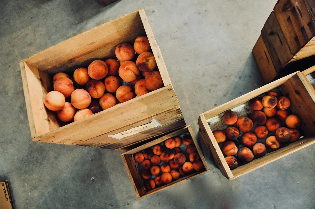 peach, fruits, food, organic, fresh, harvest, healthy, produce, ripe, wooden boxes, storage, store, peach, peach, peach, peach, peach, storage, storage, storage