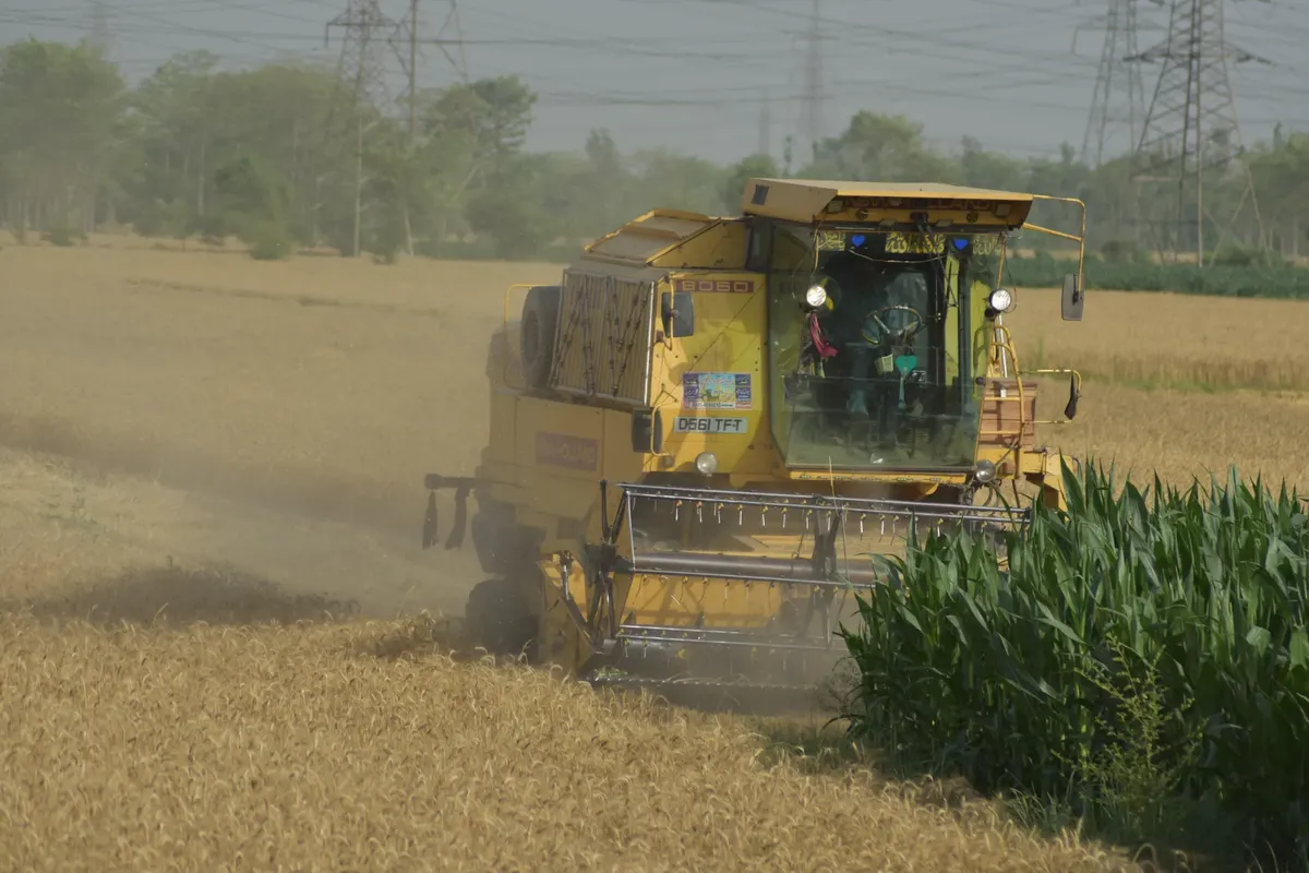 A combine harvester is actively harvesting wheat in a sunny outdoors setting.