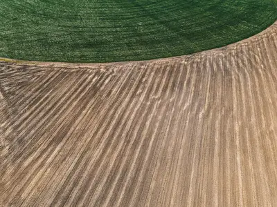 Pflanzplan für Biohof: Vergleich Anbausysteme für Biohof