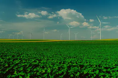 ¿Cómo afecta el clima a la producción mundial?