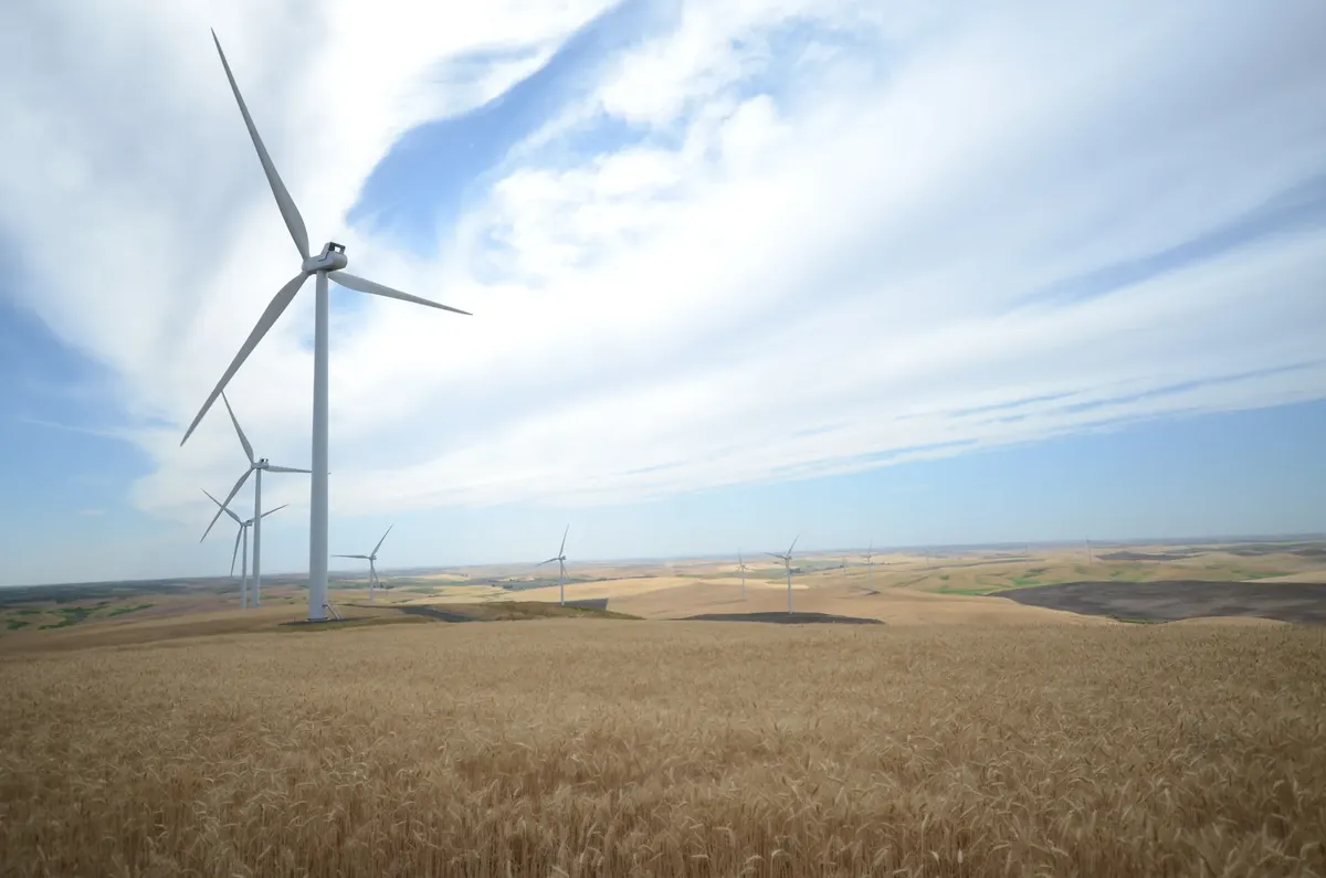 Picturesque landscape of wind turbines amidst wheat fields and blue sky, showcasing renewable energy.