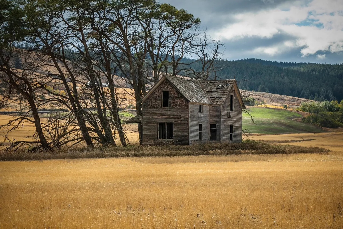 farm, homestead, farming, agriculture, abandoned house, rural, landscape, homestead, homestead, homestead, homestead, homestead