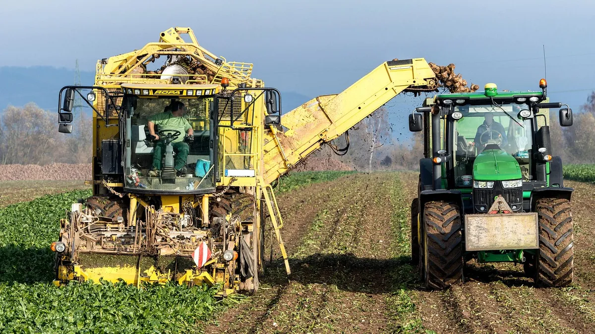 turnip, vegetables, harvest, agriculture, nourishment, naturally, machine, fields, tuber, nature, floor, farmer, sugar beet, arable land, technology, vehicle, h