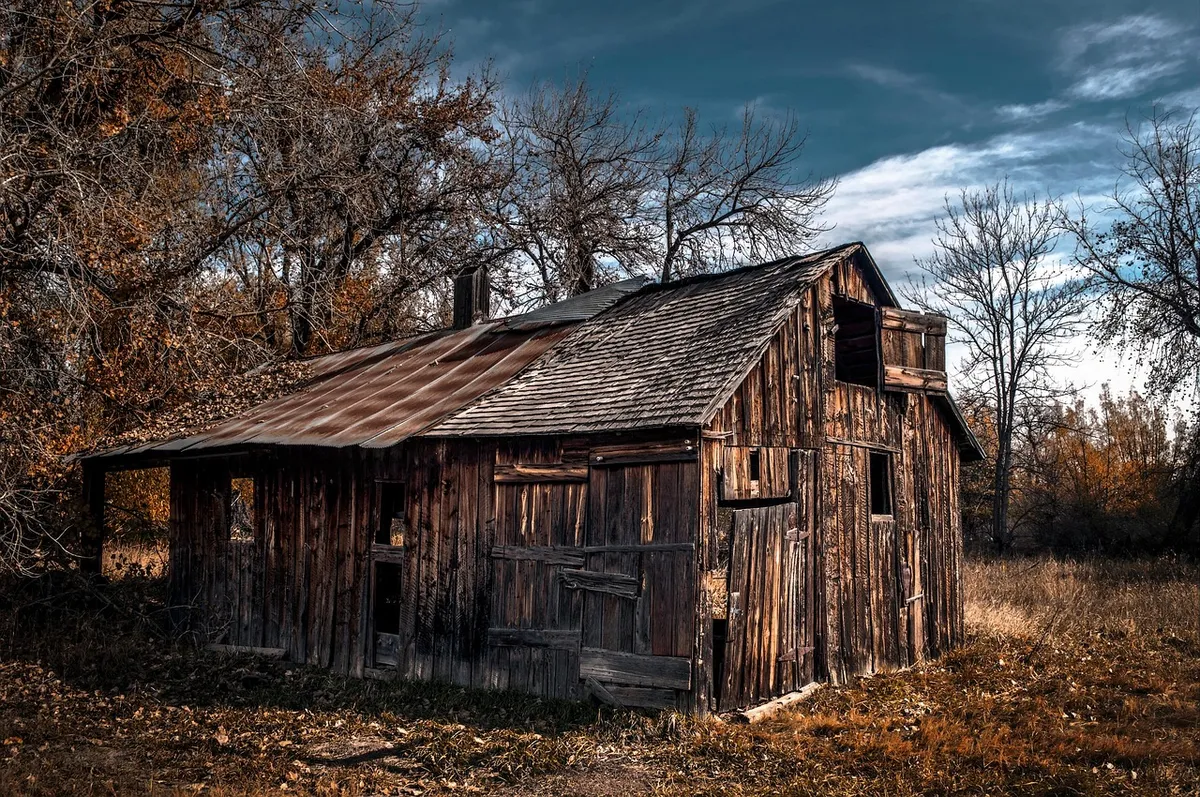barn, abandoned, farm, homestead, farm house, nature, trees, ranch, dilapidated, wooden, structure, building, rural, countryside, grass