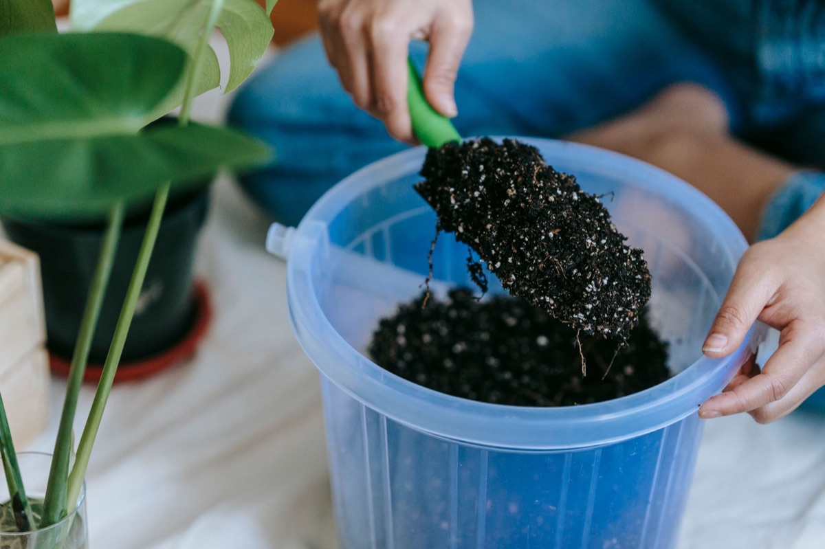 campione di terra per giardino indoor