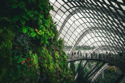 Binnentuin: De ideale bodemmix voor jouw planten nu