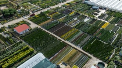 Domine o substrato: 3 funções vitais para cultivo em casa
