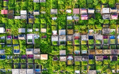 室內盆栽土壤選擇：打造植物茁壯生長的黃金配方完整指南