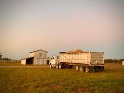 4°C Storage Tips: Keeping Hardy Crops Fresh and Lasting