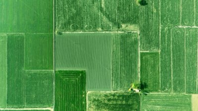 Agricultura: Tips para entender la escala de tu proyecto verde