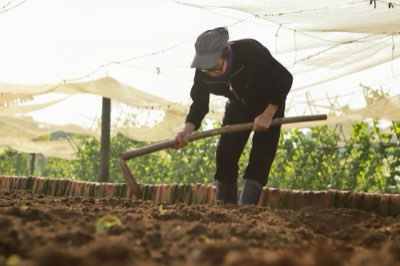흙의 생명력 깨우는 2단계 텃밭 준비 방법 총정리