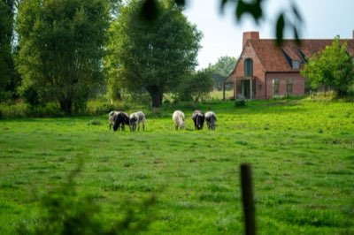Klein schaal boerderij tips: de beste gids voor beginners