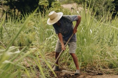 Agricultura de subsistência: tips para garantir sustento familiar