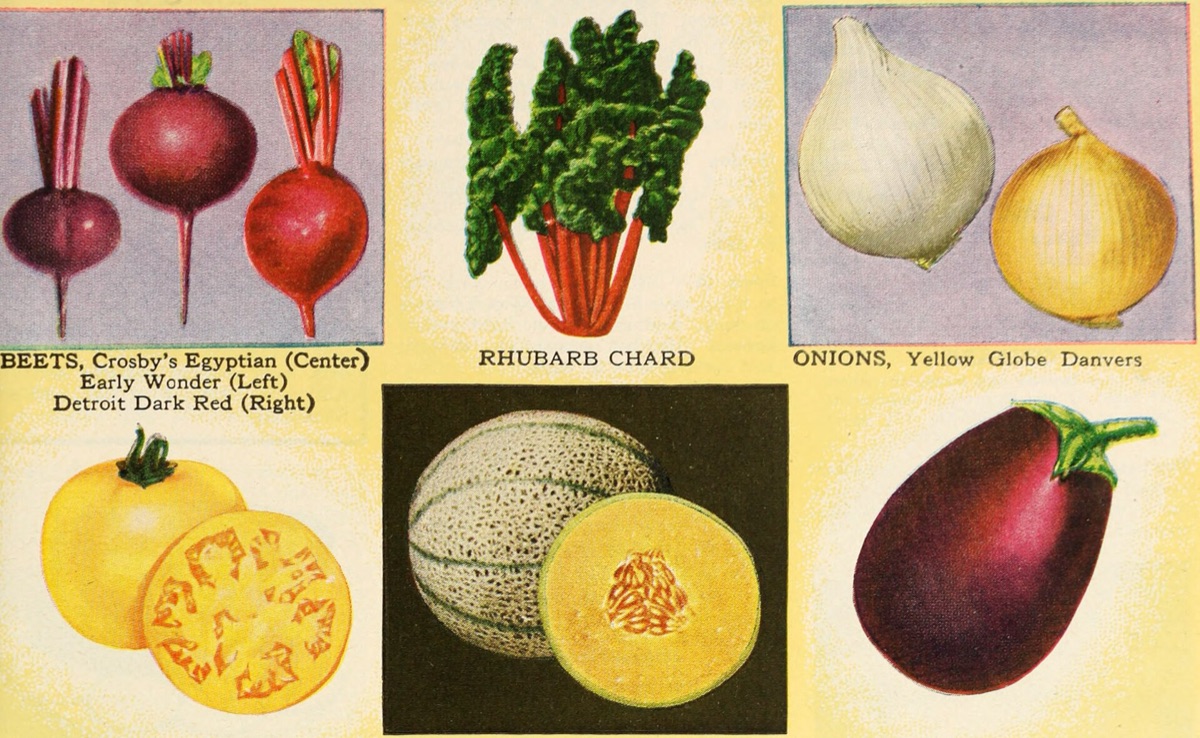 Organic compost material for gardening