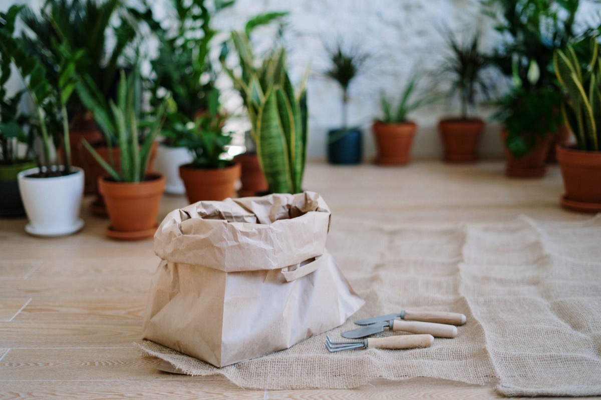 Potting soil and gardening supplies for beginners