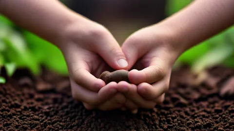 텃밭 시작 필수 가이드, 건강한 토양 만드는 5단계 비법