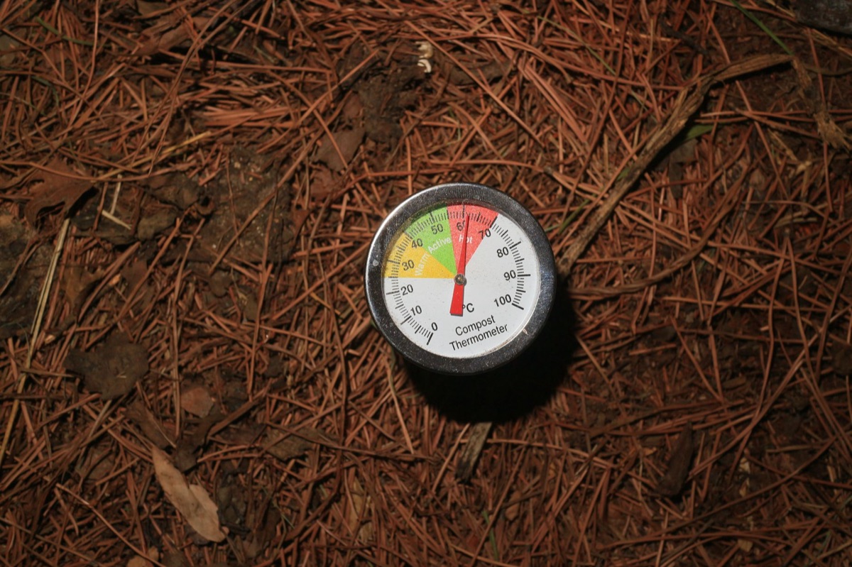 pilha de compostagem com resíduos orgânicos